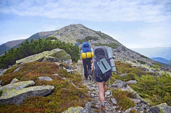 Young people are hiking in Carpathian mountains in summertime