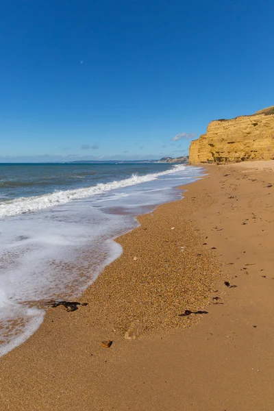 Burton Bradstock beach Dorset England UK Jurassic coast with sandstone cliffs and white waves in summer with blue sea and sky