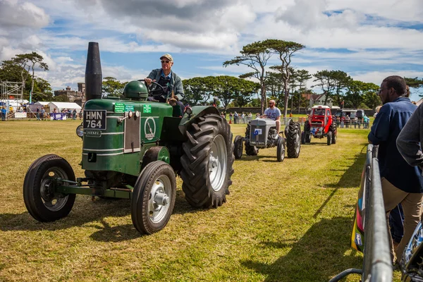 Agricultural Show- Vintage tractors on display