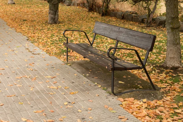 Lone bench in park