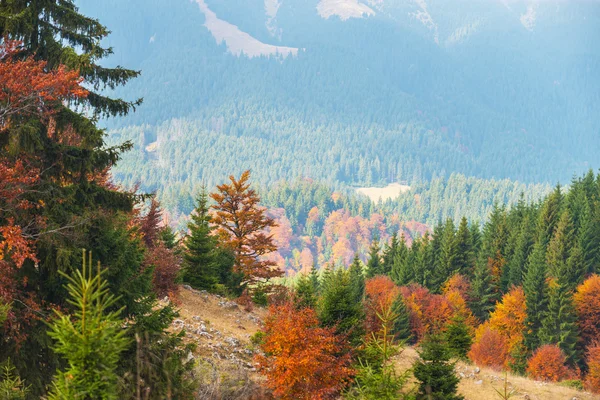 October autumn scenery in remote mountain area