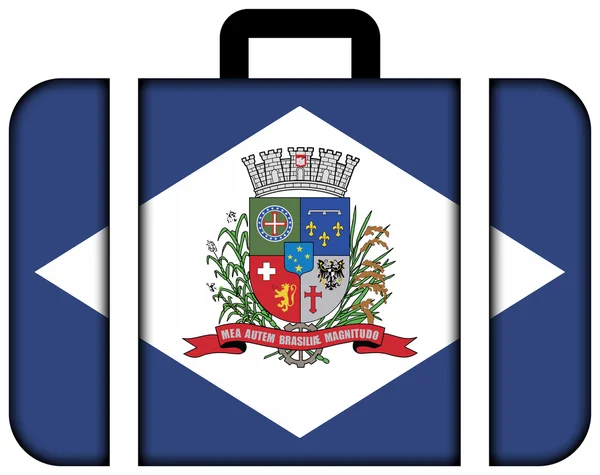 Flag of Joinville, Santa Catarina State, Brazil. Suitcase icon