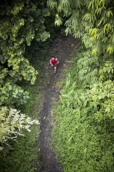 Chinese man jogging on forest trail