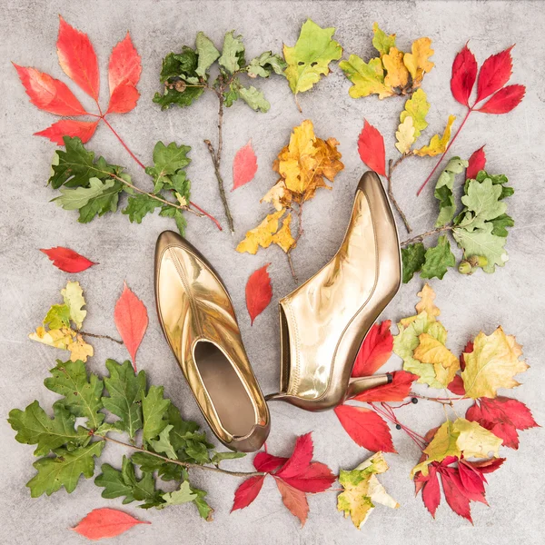 Autumn leaves and golden shoes