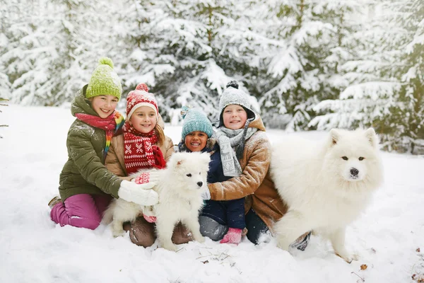 Group of kids playing with dogs