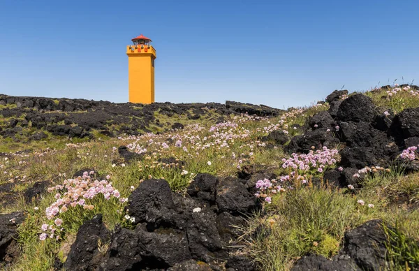 Svortuloft Lighthouse with flowers