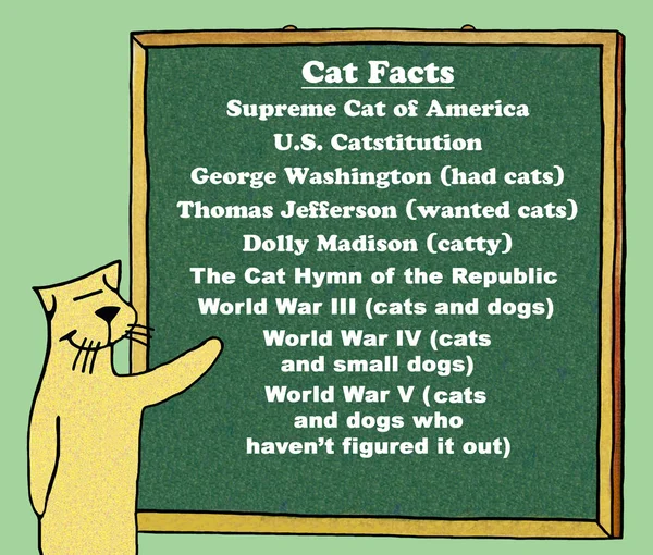 A Cat\'s Perspective on History