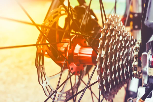 Closeup gear mountain bike wheel detail and disc brake.