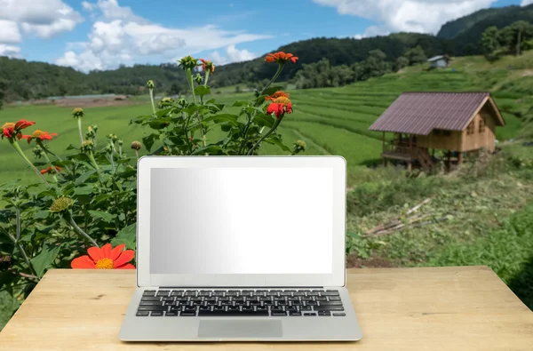 Laptop on wood table with Terraced rice field on Mountain backgr