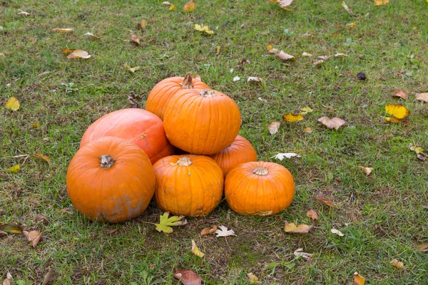 Orange pumpkins for Halloween Party