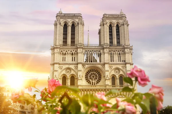 Notre Dame de Paris cathedral.