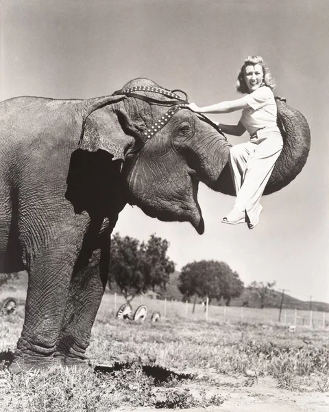 Woman sitting on elephant\'s trunk