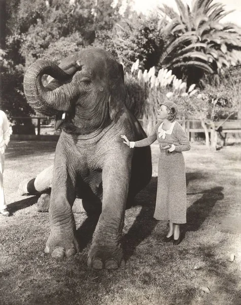 Woman stroking elephant