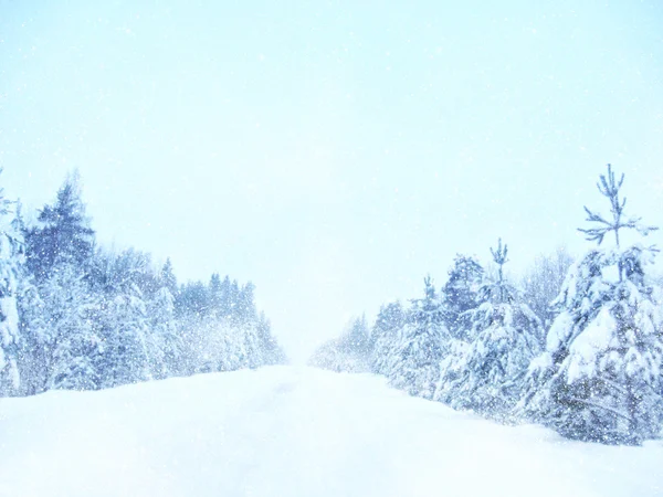 Dreamy and abstract winter landscape