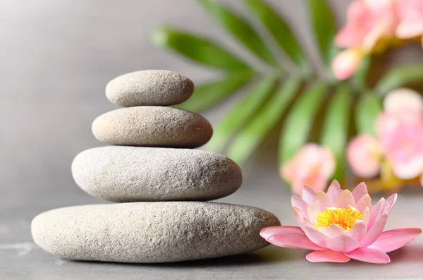 Stones balance with flower lily on grey background