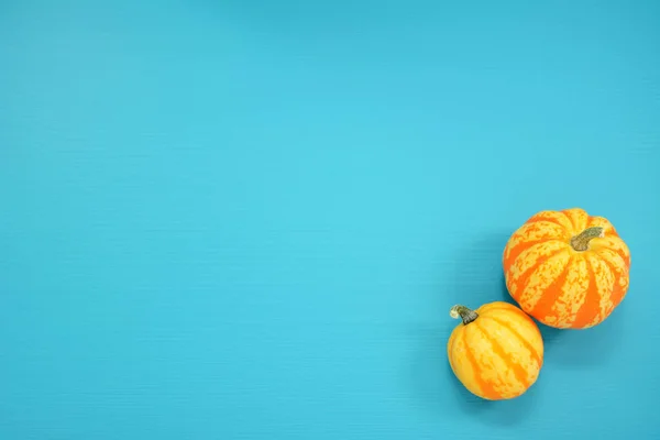 Two striped Festival squash on a teal background