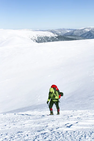 Winter hiking.Winter hiking in the mountains on snowshoes with a backpack and tent.