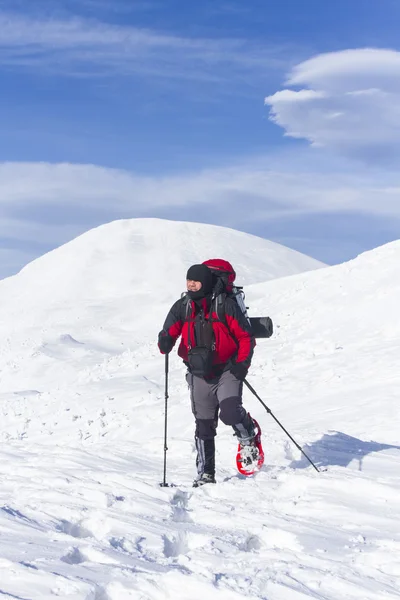 Winter hiking.Winter hiking in the mountains on snowshoes with a backpack and tent.