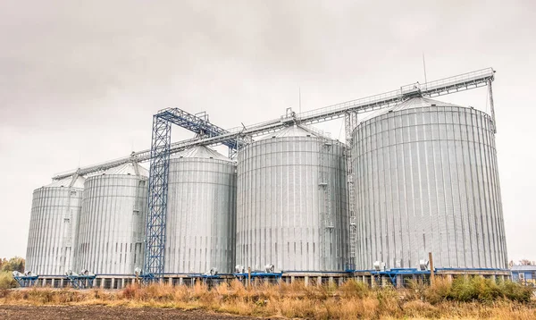 Agriculture. silos for storing grain