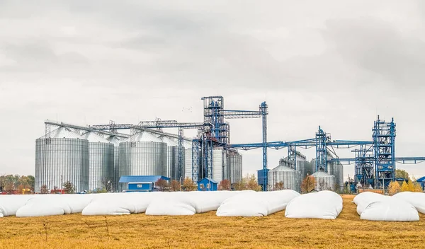 Agriculture. silos for storing grain