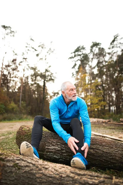 Senior runner sitting on wooden logs, man resting, stretching.