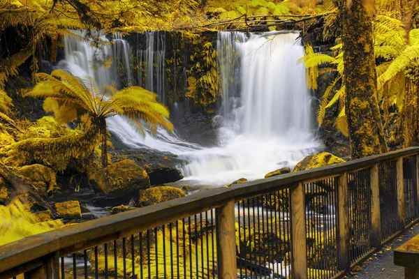 Horseshoe Falls in Mount Field National Park.