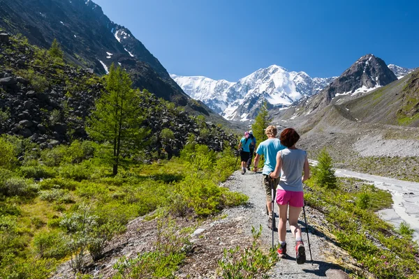 Young people are trekking in highlands of Altai mountains, Russi