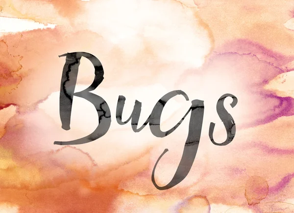 Bugs Colorful Watercolor and Ink Word Art