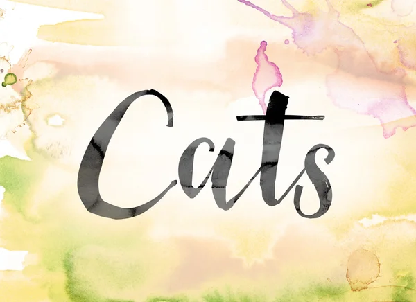Cats Colorful Watercolor and Ink Word Art