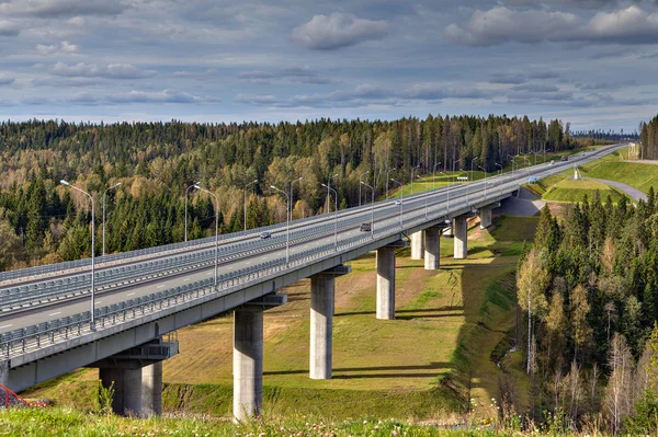 Steel bridge overpass on concrete piers, highway crosses Russian forest.