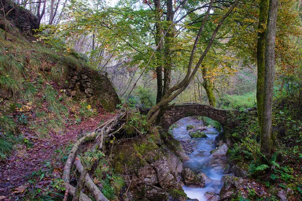 Small ancient bridge of rocks in a creek in the woods
