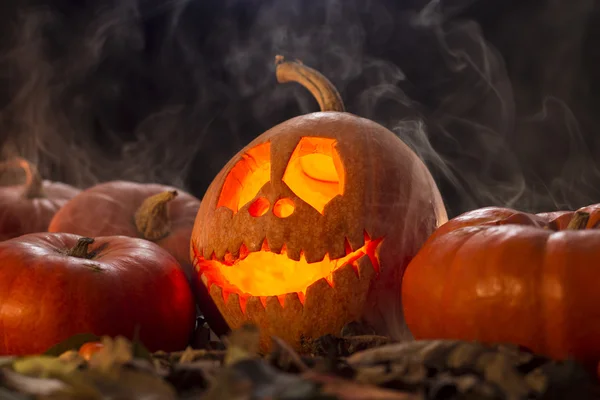 Halloween pumpkin in dark