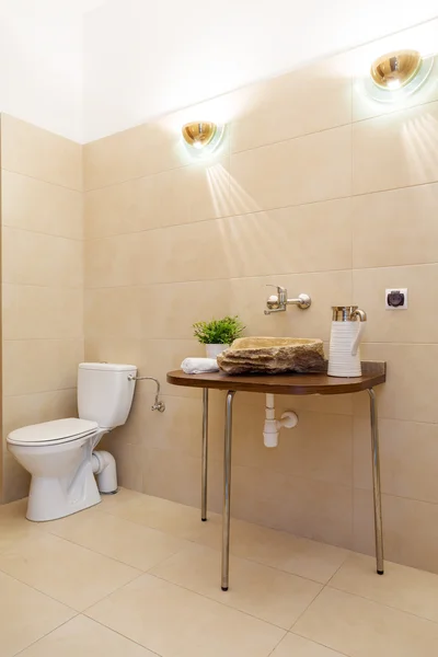 Stylish toilet interior