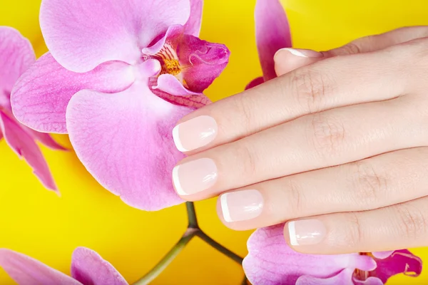 Hand with french manicured nails and violet orchid flowers