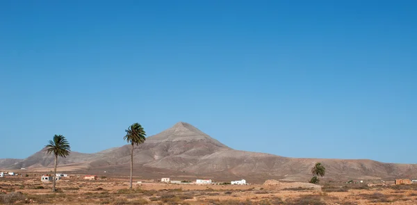 Fuerteventura: view of Canary landscape with palms, white houses and desertic land