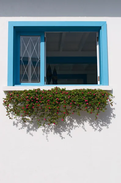 A blue window with flowers