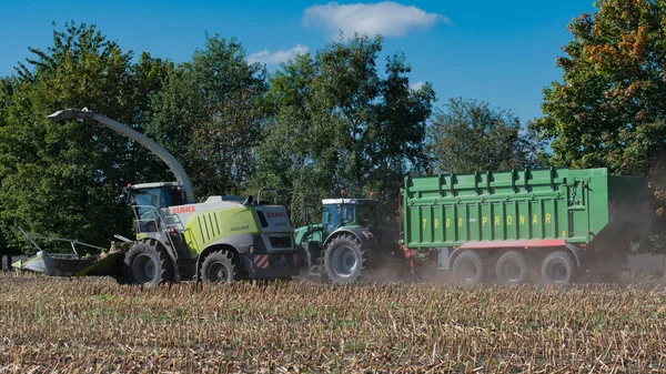 Germany - Schleswig Holstein - October 02, 2016: corn harvester in the Corn crop for the agricultural sector