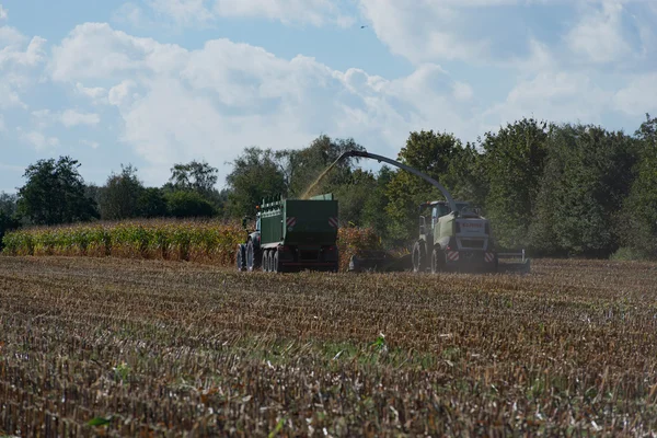 Germany - Schleswig Holstein - October 02, 2016: corn harvester in the Corn crop for the agricultural sector