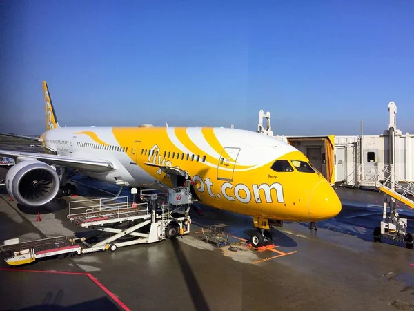 The Scoot air aircraft parking at dock prepare to fly to Bangkok