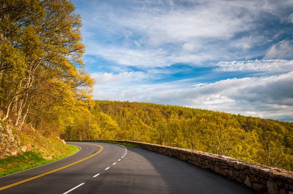 Skyline Drive and spring color in the Blue Ridge Mountains, in S