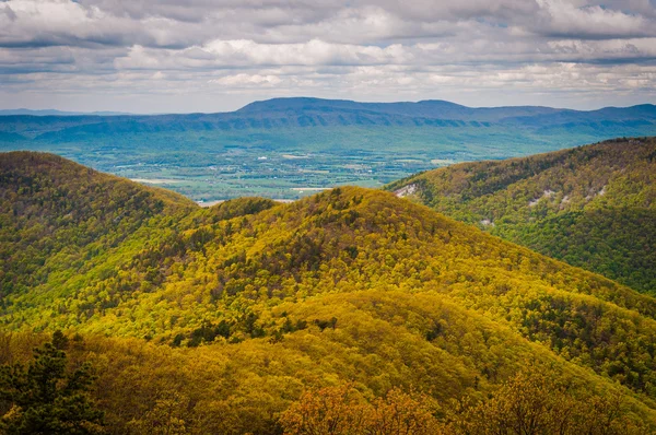 Spring view of the Blue Ridge Mountains and Shenandoah Valley, f