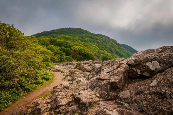 The Appalachian Trail on Little Stony Man Cliffs, in Shenandoah