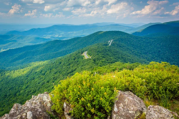 View of the Blue Ridge Mountains from Little Stony Man Cliffs, i