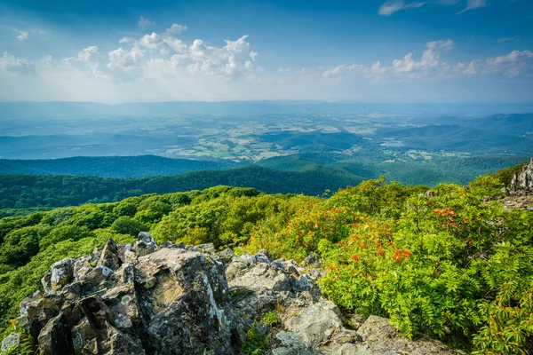 View of the Shenandoah Valley and Blue Ridge from Stony Man Moun