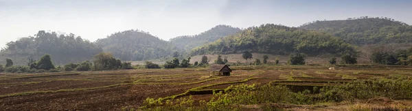 Indian educated farmer in his Sugar cane field, rural village Salunkwadi, Ambajogai, Beed, Maharashtra, India, South East Asia