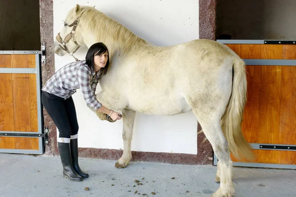 Young woman cleans the horse\'s hooves