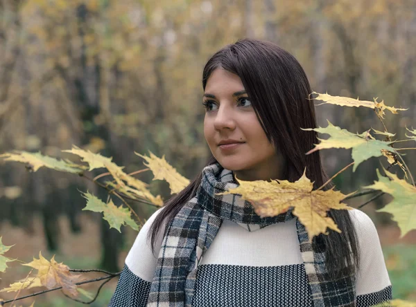 A charming brunette girl in a warm pullover is standing in the autumn forest among the maple leafs