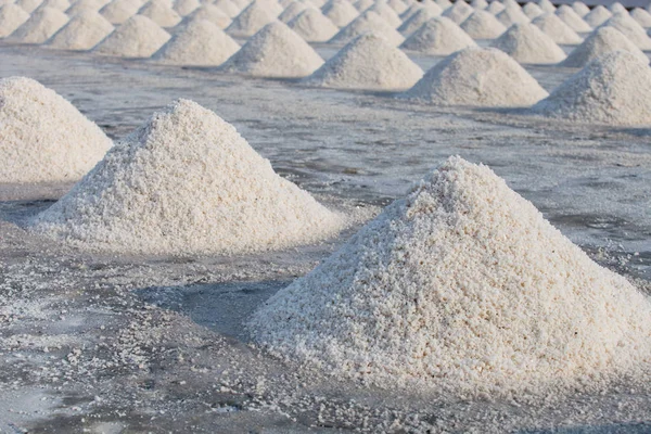 Row of salt piles