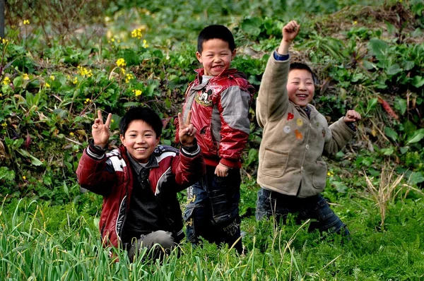 Pengzhou, China: Chinese Boys in Field of Garlic