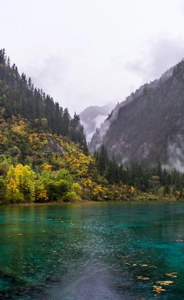 Calm forest smooth lake with reflections, china juzhaigou